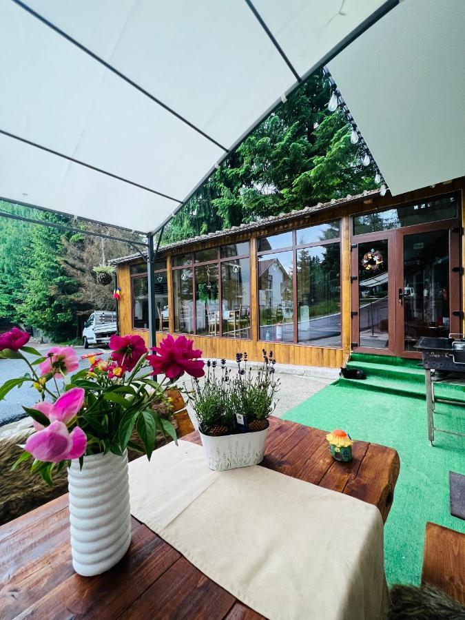 Cabana Din Poienita Poiana Brasov Ngoại thất bức ảnh