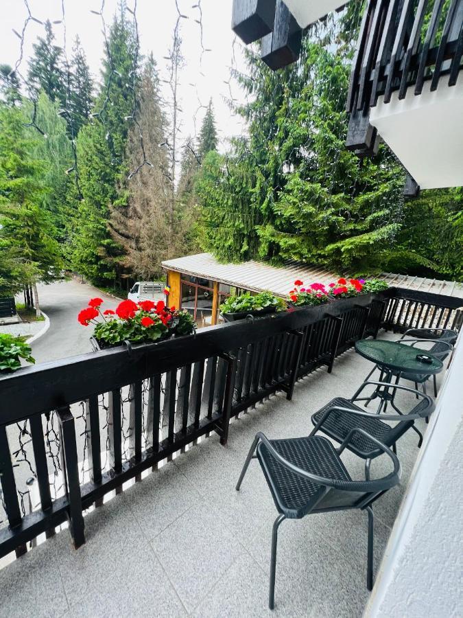 Cabana Din Poienita Poiana Brasov Ngoại thất bức ảnh