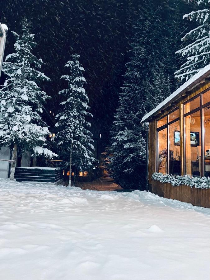 Cabana Din Poienita Poiana Brasov Ngoại thất bức ảnh
