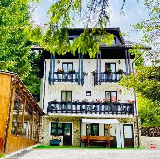 Cabana Din Poienita Poiana Brasov Ngoại thất bức ảnh